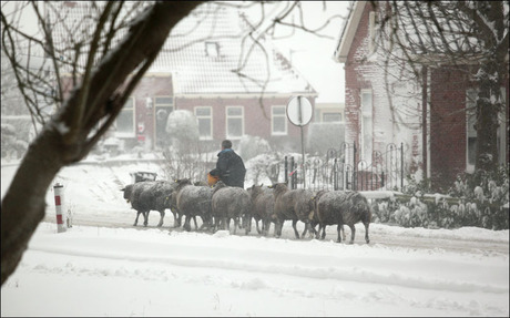 Naar binnen dames !