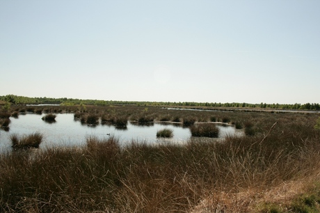 Engbertsdijkvenen