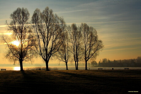 In de opkomende zon.