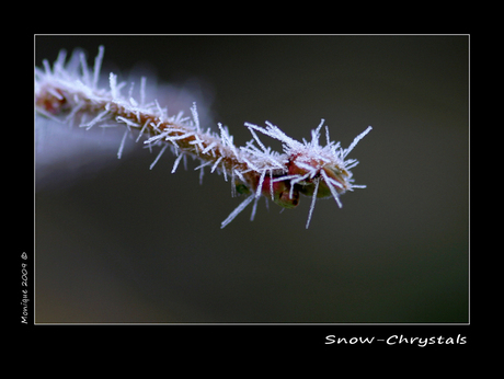 Snow-Chrystals