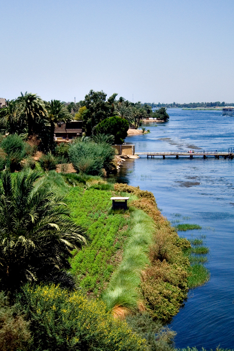 Beauty of The Nile