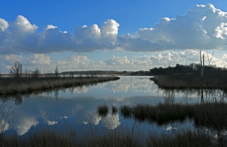 Wolken