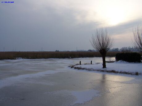 Winters landschap in Westzaan.