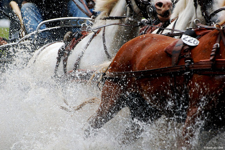 Paardenspektakel Beekbergen 30-07-2011 031 - kopiekopie.jpg