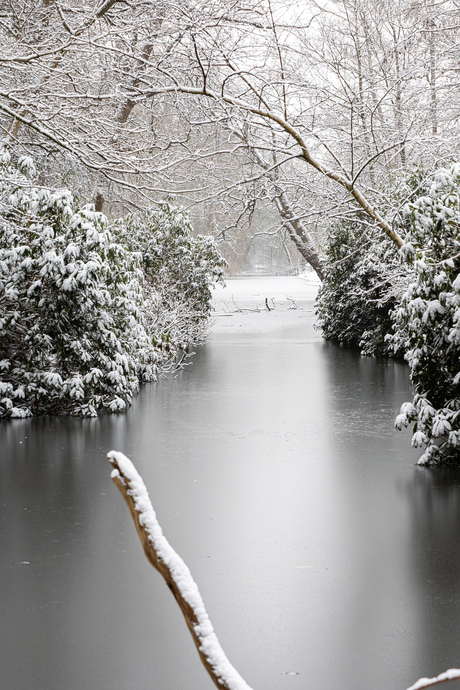 Nog eentje van de sneeuw