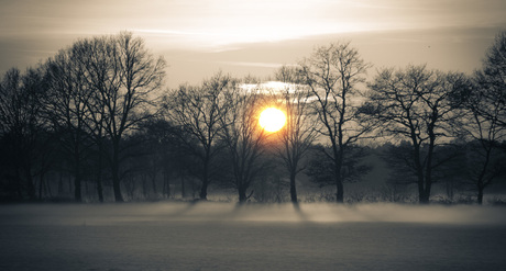 sunset in the mist