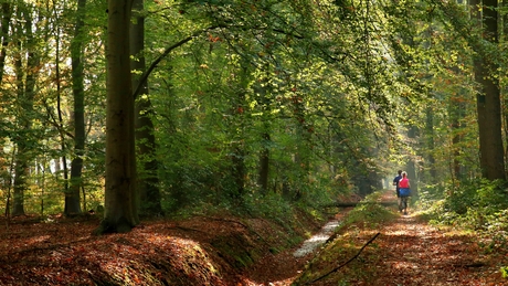 Herfst run.