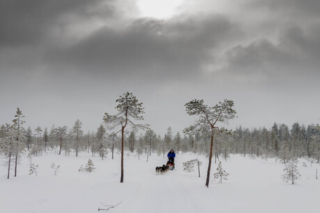 Sledehondentocht