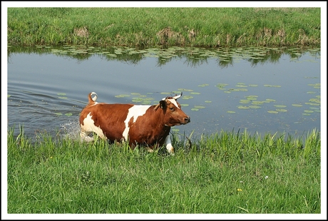 Pootje Baden