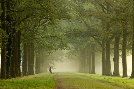 Lopen in de mist