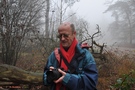 1011168888 in een misig bos