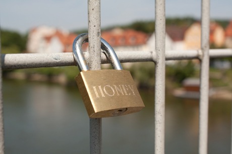 Brug der Liefde