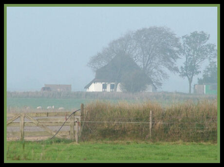 DAMPIG TEXEL