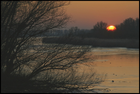 Biesbosch
