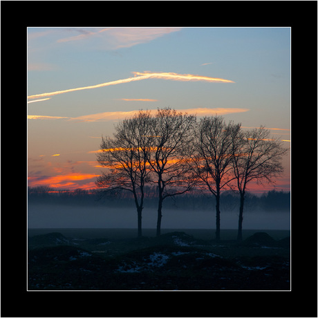 Landschap te Hilvarenbeek