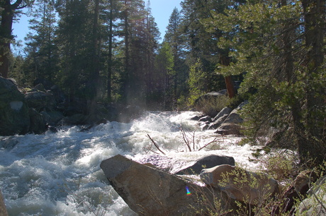 Yosemite National Park