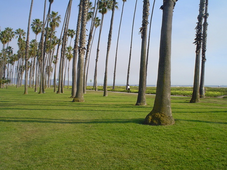 Aan zee