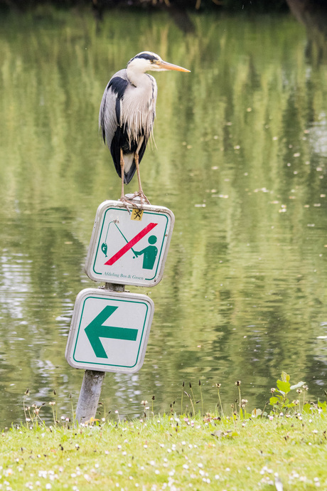 Hier waak ik...