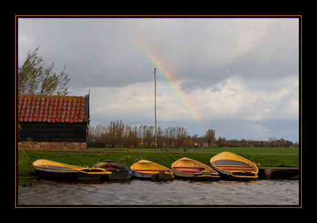 Regenboog