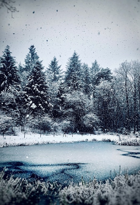 Sprookjes bestaan….