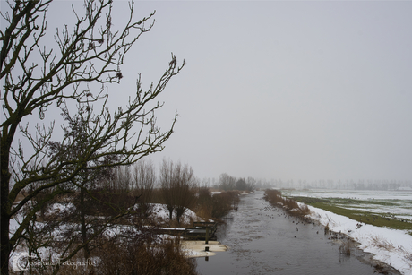 Troosteloos met sneeuw