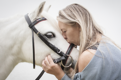 paarden liefde