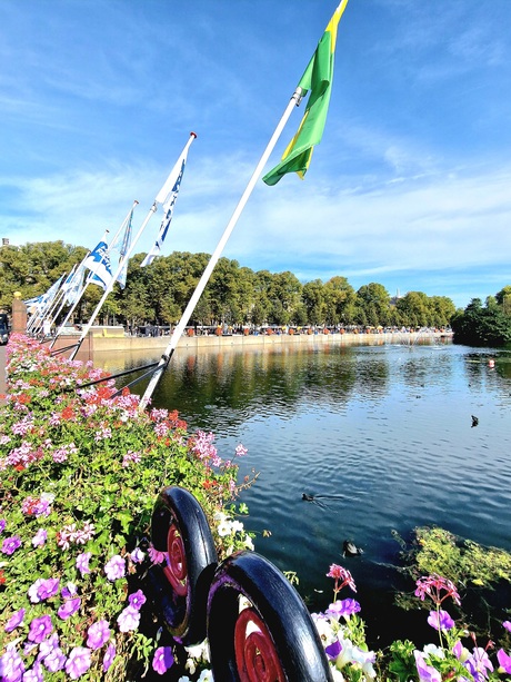 Hofvijver