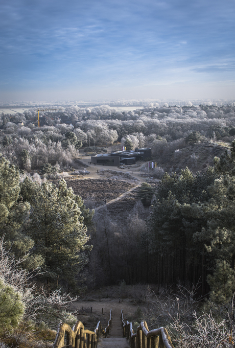 Winter in Schoorl