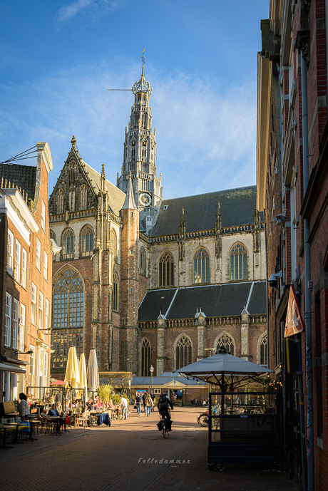 De Grote of Sint Bavokerk in het gouden licht.