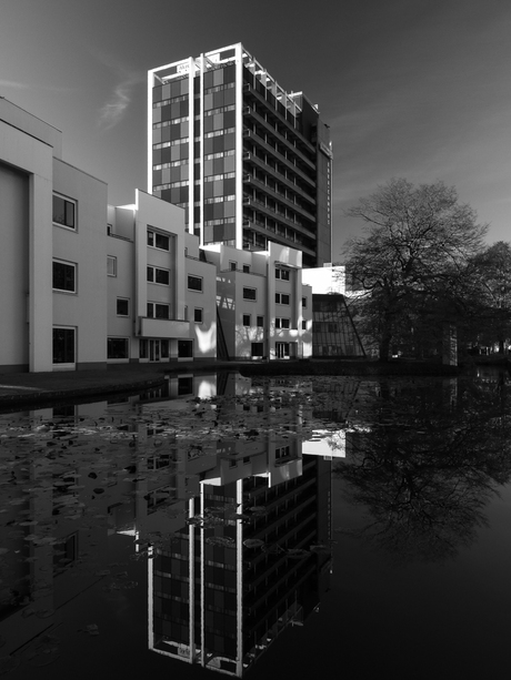 Rijn IJssel