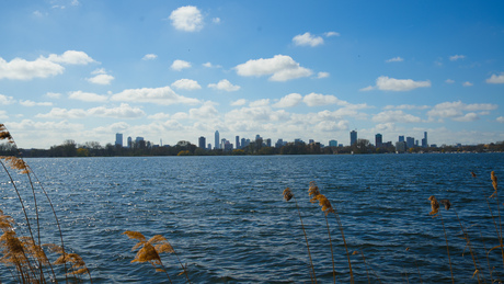 Kralinseplas City View