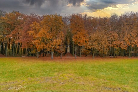 Kleurrijke Herfstkleuren