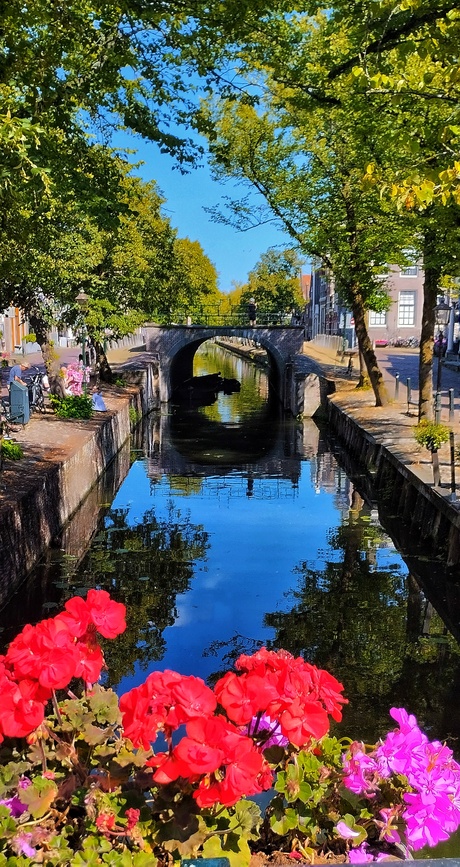 Het schitterende grachtje 