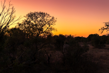Sunset @ Krugerpark