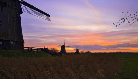 Pasteltinten in de lucht