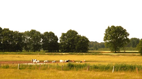 Nog 1 keer