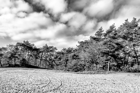 De natuur achromatisch gezien