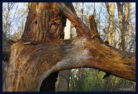 2411300832smw   buigen of barsten