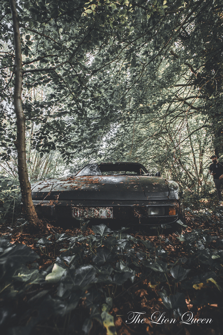 Lost in the Wilderness: The Forgotten Porsche in the Forest