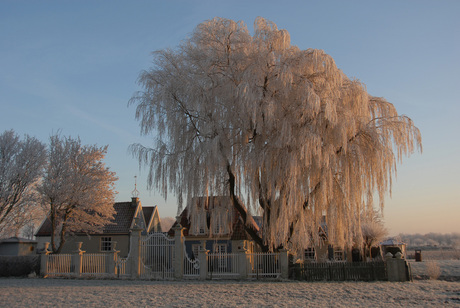 wintermorgen