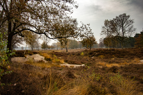 Herfst Lage Vuursche