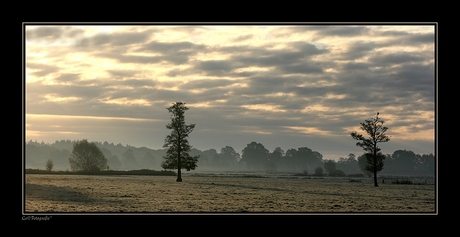 Heino in de Mist *