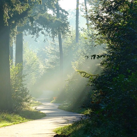 Zonnestralen