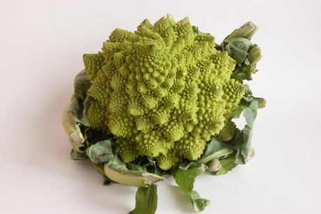 Romanesco bloemkool met fractal-achtige structuur