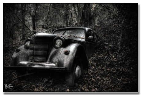 Zomaar een auto in het bos.