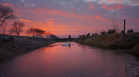 Ochtend licht