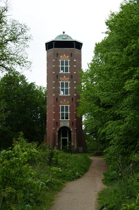 Uitkijktoren in het bos.