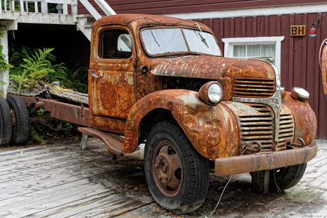 Dodge Rust
