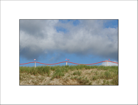 Texel