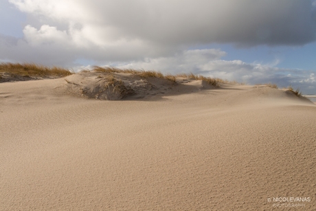 De sahara van Texel.